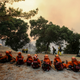 Members of a crew rest on a hillside.